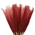 thumbnail image 1 of Unique Bargains 8Pcs Faux Pampas Grass 35.4' Tall 9 Branches Artificial Reed Fluffy Stems for Home Kitchen Vase Red, 1 of 7