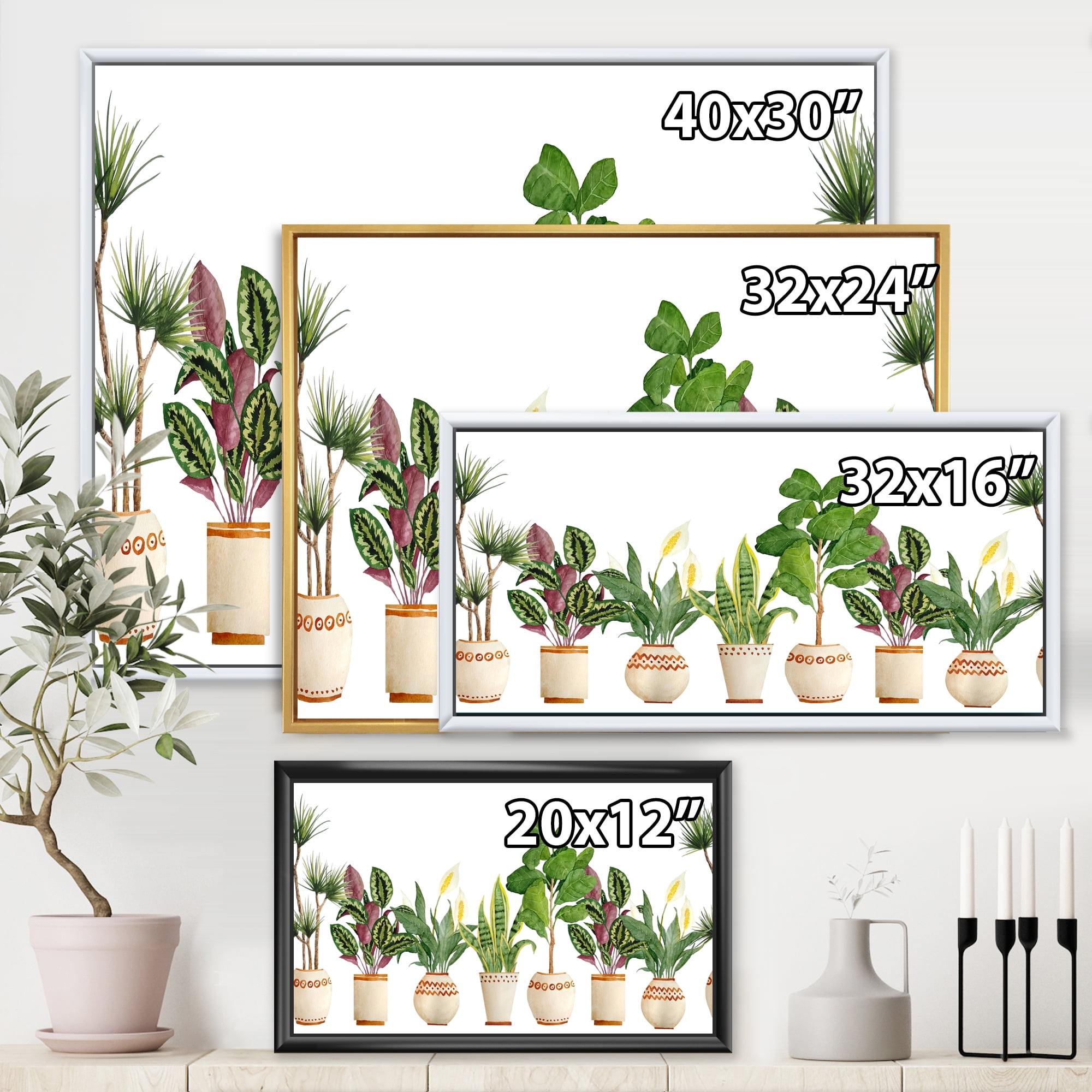 Designart 'Trio of Houseplants Sanseviera Snake Plants On White' Farmhouse Framed Canvas Wall Art Print