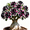 D, variant on Desert Rose, Shade Plant for Gardens-Easy Grow-Low Maintenance-Ideal for Beds Borders, Plant Pots & Planters