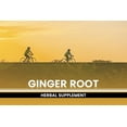 thumbnail image 5 of Pure Original Ingredients Ginger Root 365 Capsules No Magnesium Or Rice Fillers, Always Pure, Lab Verified, 5 of 7