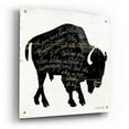 thumbnail image 2 of Epic Art 'Buffalo in Black' by Cindy Jacobs, Acrylic Glass Wall Art, 24"x24", 2 of 8