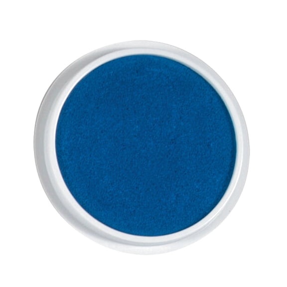 Center Enterprises Jumbo Circular Washable Stamp Pad Blue