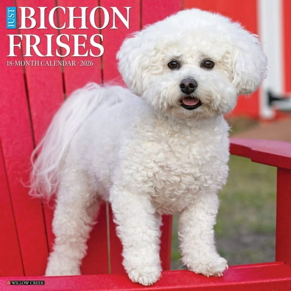 Bichon Frises 2026 Wall Calendar, (Paperback)