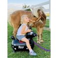 thumbnail image 4 of GYMNIC Cheval Rebondissant Rody Noir, 4 of 5