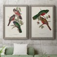 thumbnail image 5 of Elegant Trogons V - Premium Framed Canvas 2 Piece Set - Ready to Hang, 5 of 7