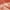 Burnt Orange, variant on Comfort Spaces Full/Queen Cozy Velvet Comforter Sets, Luxe 3-Piece All Season Down Alternative Bedding Set, Pink Blush Damask Comforter Bed Set with Pillow Shams