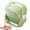 Green, variant on Travel Pill Bottle Rotating Airtight Supplement Bottle | 4 Compartments Portable Pill Container for Women Elderly Kids Men Purse Pocket Home Car Work Afternoon Night