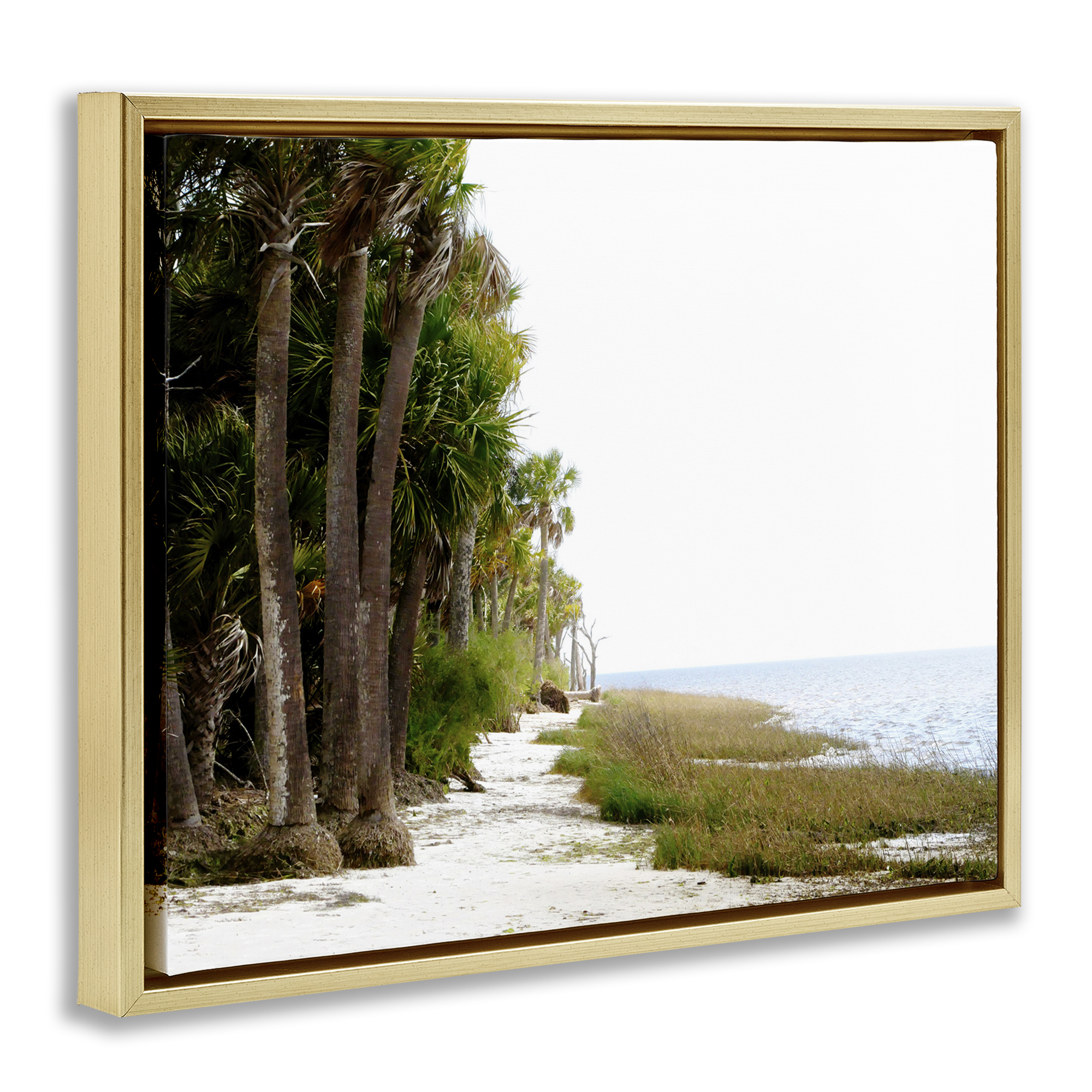 Stupell Industries Palm Beach Path Landscape Photography Gold Floater Framed Canvas Art Print Wall Art, 21 x 17