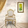 thumbnail image 3 of Pinto, Patricia 8x14 Gold Ornate Wood Framed with Double Matting Museum Art Print Titled - Murano Glass Panel II, 3 of 4