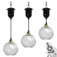 thumbnail image 1 of FSLiving Can Lights Retrofit Recessed Light Adjustable Height 3 Lights Compatible E26 Adapter T24 Connector Conversion Kit for 4~5in Holes, Edison Bulb by Remote Control, Clear Hammered Glass Globe, 1 of 7