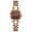 Steel, variant on Luxury Leather Watch for Women Waterproof Stainless Steel Classic Quartz Ladies Watches Original