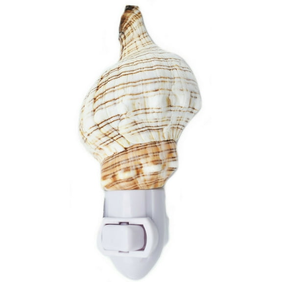 Seashell Night Light Real Fox Conch Beach Decor w. on/off switch Beautiful Coastal Cottage