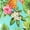 SHAMROCK GREEN, TROPICAL, variant on LA LEELA Women's Beach Maxi A-Line Casual Summer Slit Party Strapless Tube Top Dress One Size Shamrock Green, Tropical