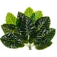 thumbnail image 2 of Mylin Plantas Artificales con Hojas Grandes Follaje Fino de 45cm con 12 Hojas Estilo Cordada Fantasias Miguel Art-11248, 2 of 3