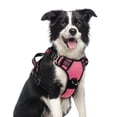 thumbnail image 1 of Arnés para perros Rabbitgoo Upgrade Medium Rosa Talla M, 1 of 8