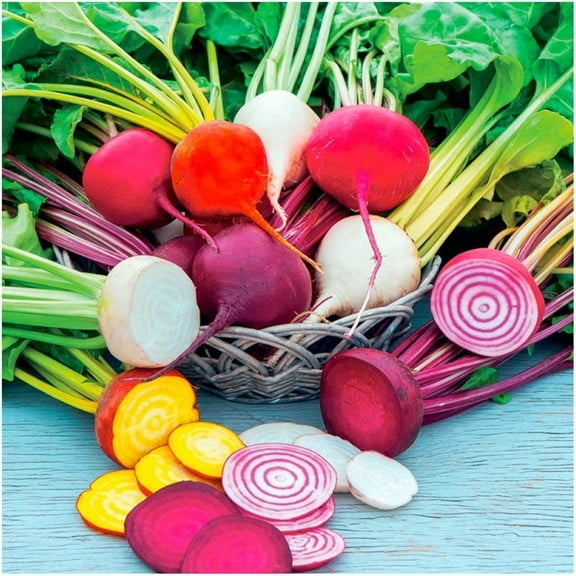 500  Rainbow Beet Seed Mixture - 8 Variety Heirloom Mix (Beta vulgaris) Bulk Non-GMO