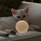 thumbnail image 2 of Juguete interactivo para gatos de interior, Bola de cuerda de Sisal con agujeros para rascar y masticar, suministros para mascotas, gatitos y gatos, 2 of 5