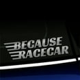thumbnail image 1 of Because Racecar - Vinyl Decal - Choose Color - [SILVER], 1 of 1