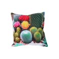 thumbnail image 1 of IH Casa Decor Extérieur Imperméable Coussin Cactus - Ensemble De 2, 1 of 4