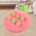 thumbnail image 3 of Esquirla Jouet Fruit pour Enfants Jeu de Simulation Poupée Mini Oreiller Jeu de Rôle Parent-Enfant Interactif Cadeau pour Filles Fraise L, 3 of 7