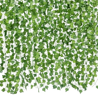「sckng.w 」la basic IVY BSHAPPLUS 12 Pack 79ft Artificial Ivy Vines, Hanging Greenery