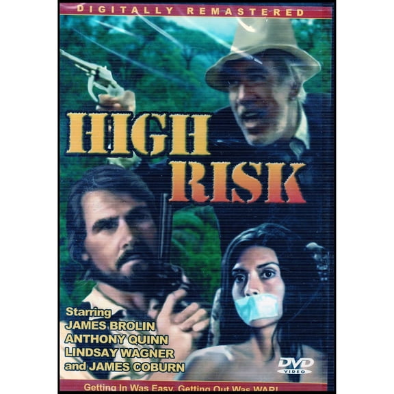 High Risk (1981/ Digiview Entertainment)