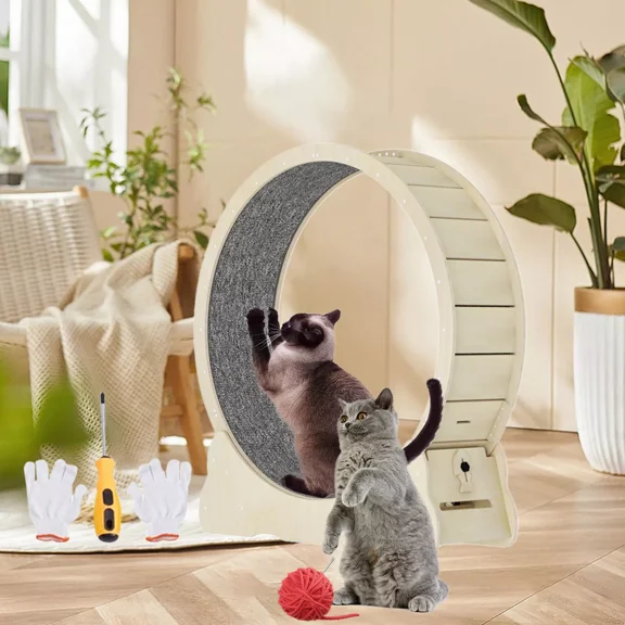 Solid Wood Low Noise Cat Exercise Wheel Running Wheel W/ Lock for Indoor Cat