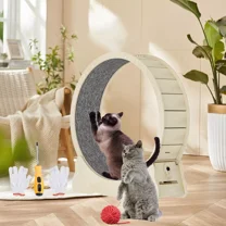 Solid Wood Low Noise Cat Exercise Wheel Running Wheel W/ Lock for Indoor Cat