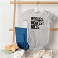 thumbnail image 4 of Worlds Okayest Niece Family Love Bodysuit Jumper Girls Infant Baby Brisco Brands 18M, 4 of 6