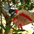 thumbnail image 3 of ZHAOCHENG 1 pieza de tijeras de podar para árboles de jardín, tijeras de podar bypass y cortador de flores ergonómico, herramientas de jardinería para injerto, 3 of 5