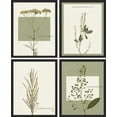thumbnail image 3 of PixonSign 4 PCS Wilderness Plant Poster Set Geometric Square Duotone Plants Prints Flower Framed Wall Art Floral Botanical Nature Artwork Rustic Decor for Bedroom, Office - 8"x10" Black, 3 of 5