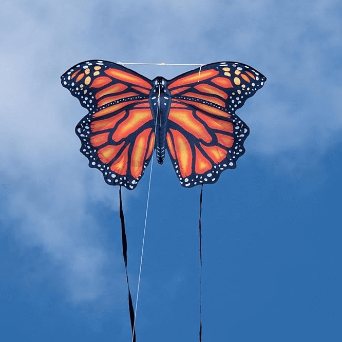 3-D Butterfly SuperSized Nylon Kite 60 inch Wingspan