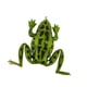 thumbnail image 4 of Señuelo de rana, señuelo de trucha y lucio, anzuelos sin malezas, compactos, suaves para la pesca de lubina, señuelo para Patrón verde, 4 of 9