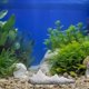 thumbnail image 2 of Fish Tank Decoration: Resin Snowy Mountain Aquarium Ornament - Micro Landscaping Rockery Figure for Home Decor Housewarming Gift, 2 of 3