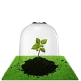 thumbnail image 4 of Bewildely Juego de cubiertas para plantas, Cloche, jardín de plástico, patio trasero, Mini invernadero, Protector vegetal, exterior, interior, insectos, Jardín y Patio Bewildely HA011001-01, 4 of 6
