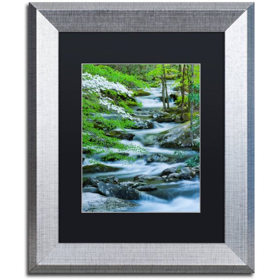 Trademark Fine Art "Flowering Dogwood" Canvas Art by Michael Blanchette Photography Black Matte, Silver Frame