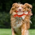 thumbnail image 5 of YINGQING Pet Toy Squeaky Donkey Stuffed Animal For Dogs Soft Interactive Chewable Companion With Crinkle Ears, 5 of 5