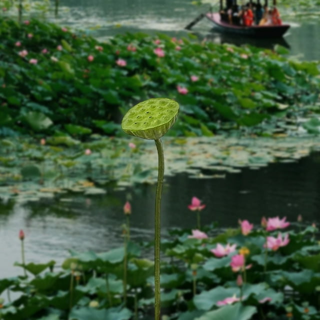 UsRHHA Simulation Lotus Flower Arrangement, Artificial Water Lily Decor for Buddha Hall Home Table, Fake Floral Centerpiece Display