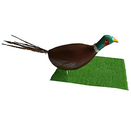 3D 3D Archery Target Pheasant for Shooting Archery Self-Healing UV Protected High-Density - Lifelike Hunting Practice