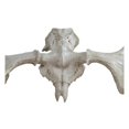 thumbnail image 3 of Ren Wil STA595 Cream Harper 27 5/8" Tall Polyresin Moose Horn Statue, 3 of 3