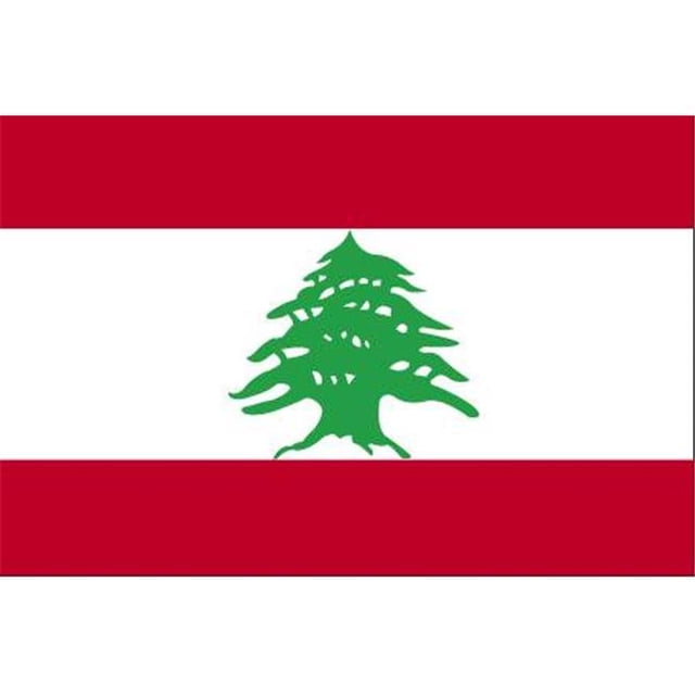 Drapeau du Liban 5 Pi X 8 Pi