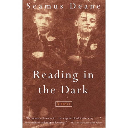 Reading in the Dark : A Novel
