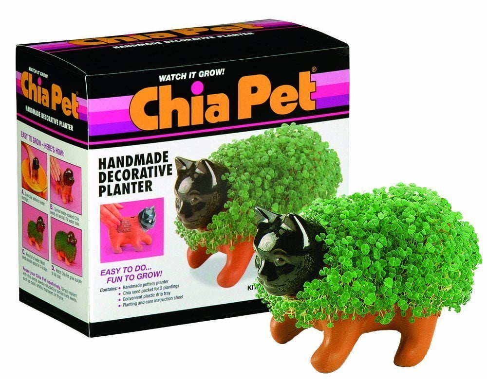 Chia Pet Planter Kitten