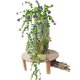 thumbnail image 3 of 3 piezas de plantas artificiales para exteriores, plantas falsas, flores artificiales para interiores, 3 of 4