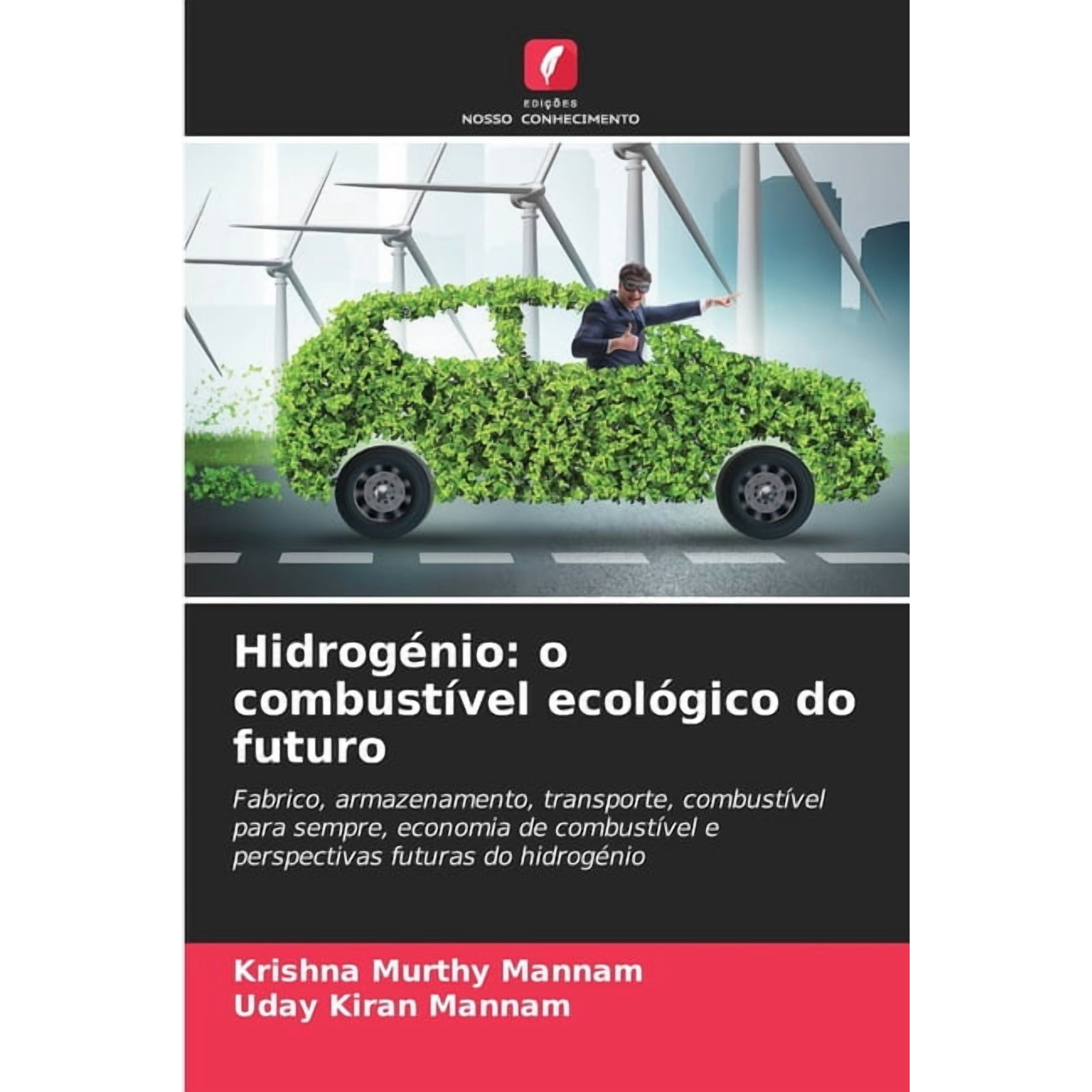 Hidrog&Atilde;&copy;nio: o combust&Atilde;vel ecol&Atilde;&sup3;gico do futuro (Paperback)