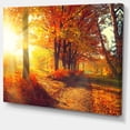 thumbnail image 2 of Autumnal Trees in Sunrays - Large Landscape Canvas Art Print, 2 of 3
