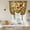 Orange, variant on Vintage Bees Balloon Curtains for Living Room/French Door, Country Retro Animal Flowers Yellow Brown Tie Up Curtains 63 Inch Length Energy Saving Kitchen Curtains Shades for Windows 42"x63"