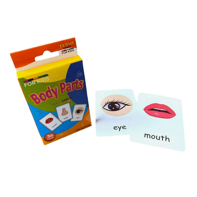 TISHITA 36 Pcs Cartes de Cognition pour Enfants Cartes Flash pour Tout-Petits BodyParts