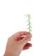 thumbnail image 5 of Houderco 50Ud Plantas Artificiales De Bambú Verde Para Maquetas Arquitectónicas Y, 5 of 6