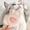 C, variant on PP Pet Comb β One-Click Hair Removal & Massage Tool for Cats & Dogs, Anti-Shedding De-Floating Comb (Durable, Easy Clean)